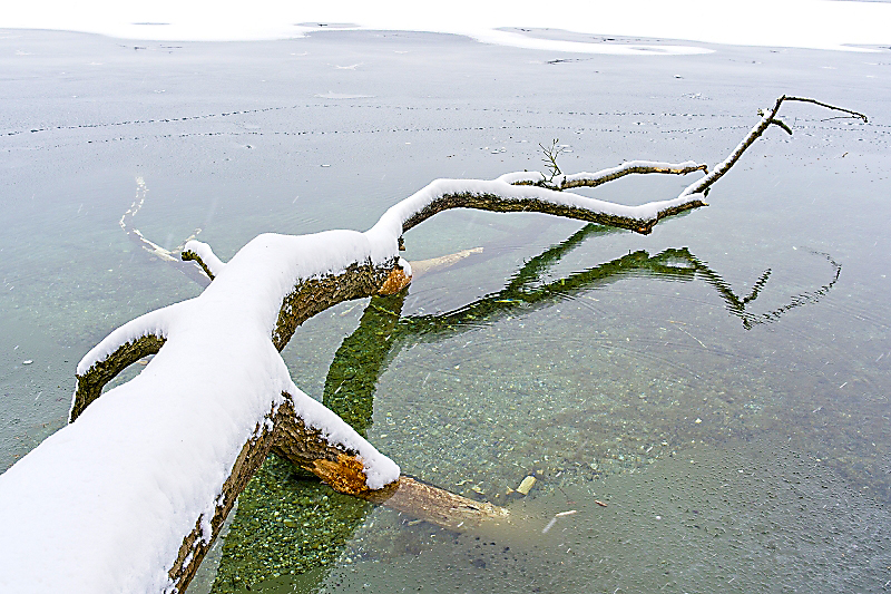 Feldmochinger See 56