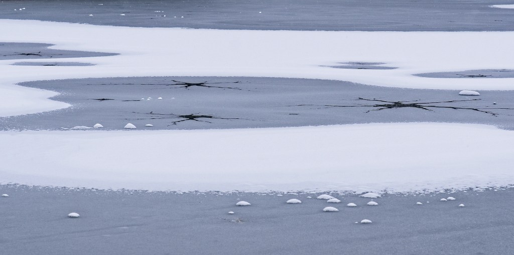 Feldmochinger See 59