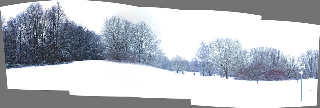 Feldmochinger See 61